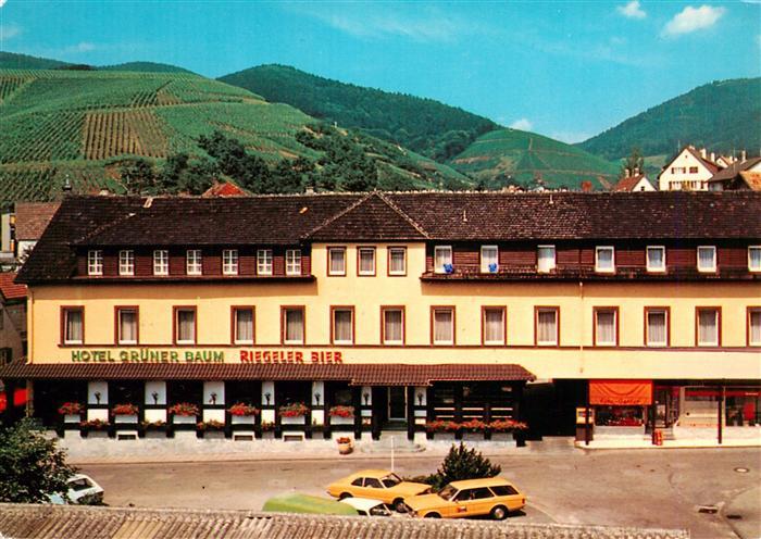 Buehlertal Hotel-Gruener-Baum Riegeler-Bier Schwarzwald Luftkurort Weinberge Par