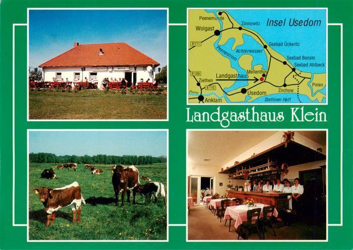 Mellenthin Mecklenburg-Vorpommern Landgasthaus-Klein Insel-Usedom Pinzgauer Rind