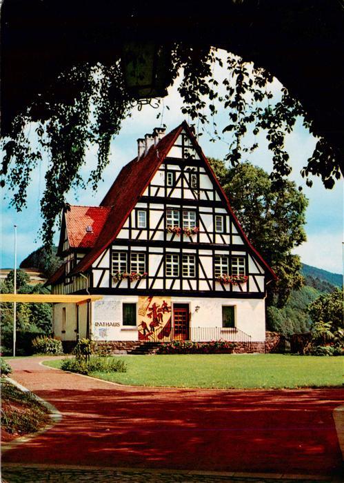 Gieselwerder Oberweser Hessen Rathaus Burghof Fachwerkhaus Wiese Berge Blumen