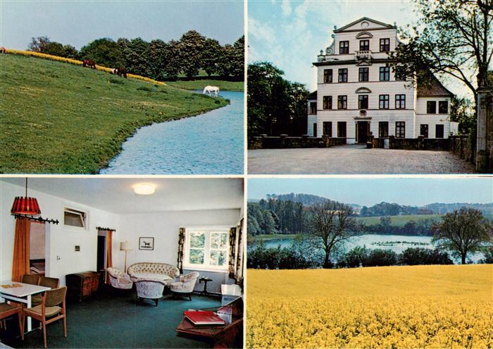 Kletkamp Gaeste-Schloss-Kletkamp Gut Herrenhaus Rapsfeld Teich Pferd Wohnzimmer