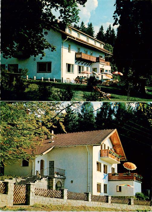 Geigant Waldmuenchen Cham Bayern Rosshof Bergpension Café Bayerischer-Wald Balko