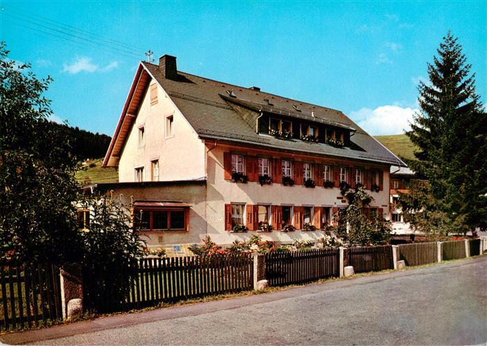 Lenzkirch Hochschwarzwald BW Pension-Gihr Gaestehaus Schwarzwald Holzhaus Blumen