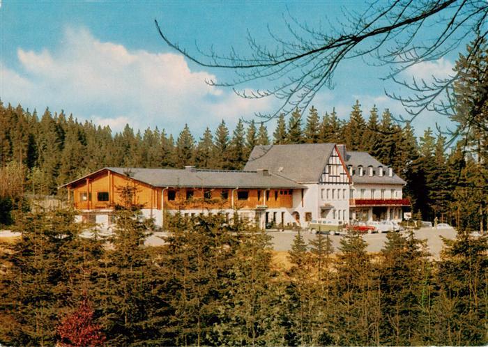 Bad Fredeburg Hotel-Waldhaus-Restaurant Hochwildschutzpark Rothaargebirge Wald T