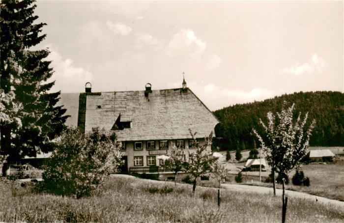 Todtmoos Schwarzwald BW Gasthaus-Pension-zum-Adler Schwarzwaldhaus Nadelwald Wie