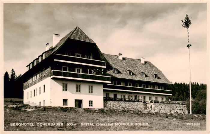 Spital Semmering Steiermark AT Berghotel-Ocherbauer Maibaum Nadelwald Bergwiese