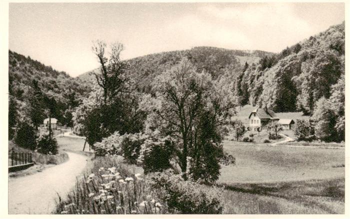 Neuhaus Weissenbach Triesting Niederoesterreich AT Triestingtal Strasse Wald Hue