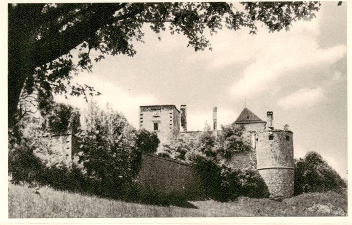 Neuhaus Weissenbach Triesting Niederoesterreich AT Burg Ruine Turm Burgmauer Bae