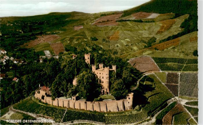 Ortenberg Baden Schloss-Ortenberg Weinberge Burg Baeume Luftaufnahme Weinlagen O