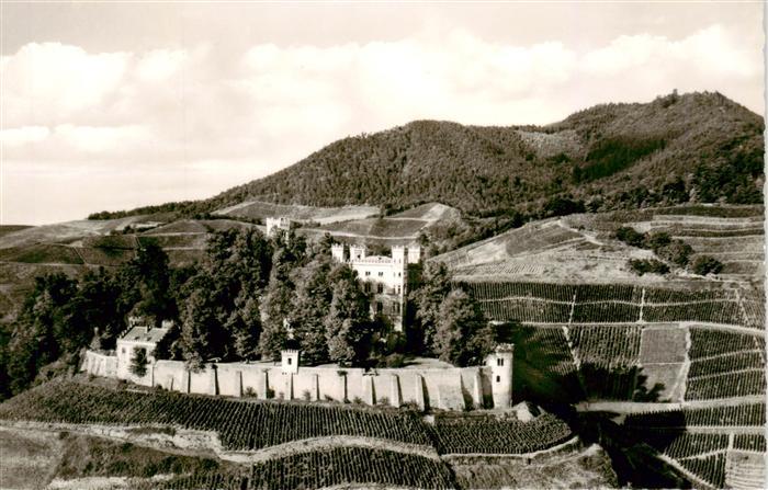 Ortenberg Baden Jugendherberge Schloss-Ortenberg Schwarzwald Weinberge Baeume St