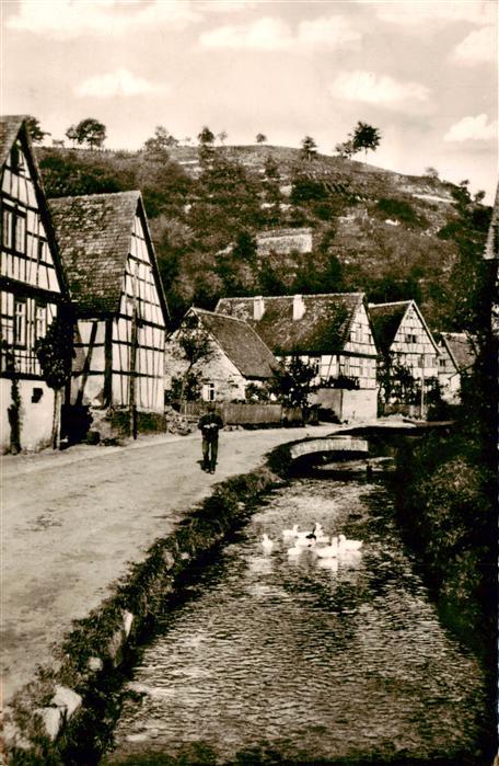 Zell Bensheim Bergstrasse Hessen Vetter s-Muehle Fachwerkhaus Bach Gaense Dorfst