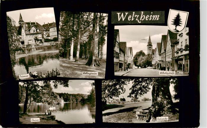 Welzheim BW Feuersee Wellingtonien Wilhelmstrasse Elsaesser-See Bockeiche Kirche