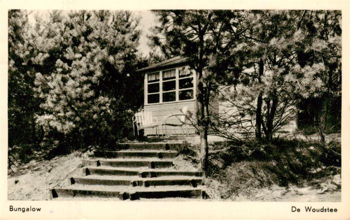 Hierden Vacantiecentrum De-Woudstee Bungalow Wald Treppe Kiefernwald