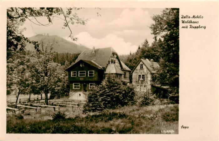 Zella-Mehlis Thueringen Waldhaus Ruppberg Holzhaus Berghaus Wald Baeume Gartenba
