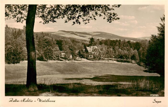 Zella-Mehlis Thueringen Waldhaus Villa Wald Wiesen Berge Baeume Thueringer-Wald