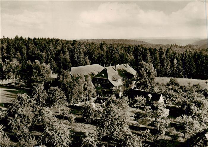 Oedenwald FREUDENSTADT BW Adrionshof Schwarzwald-Gasthof Pension Wald Tannen Pan