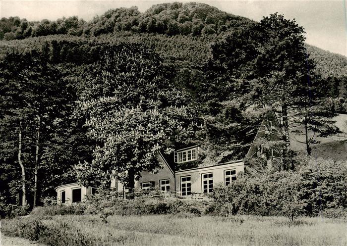Coppenbruegge Berggaststaette-Felsenkeller Ith Pension Waldhaus Haengepartie