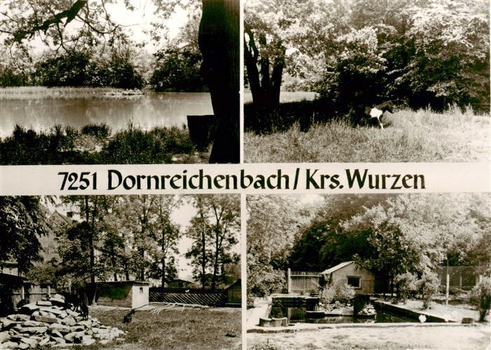 Dornreichenbach Sachsen Teich Reiher Natur Park Garten Mehrbildkarte