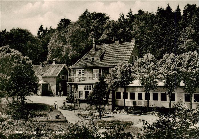 Burg Dithmarschen Dithmarschen Landschulheim Luftkurort Schullandheim Wald Gart
