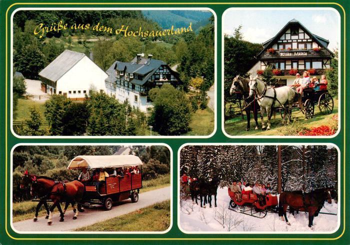Willingen Sauerland Waldeck Hessen Pension-Wilke-Muehle Bauernhof Kutsche Pferde