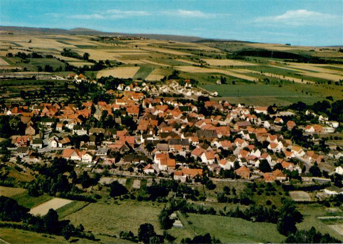 Borgholz Borgentreich Warburg NRW Warburg Dorf Wohnhaeuser Felder Huegel Luftbil