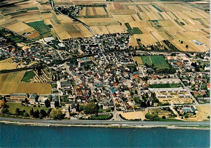 Erbach Rheingau Eltville Hessen Rhein Rheingau Weinberge Felder Wohnhaeuser Luft