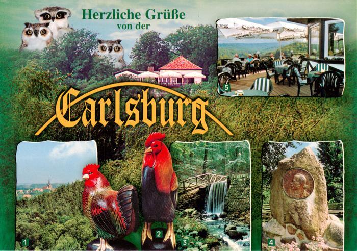 Falkenberg Mark Brandenburg Carlsburg Panoramarestaurant Eulen Haehne Wasserfall
