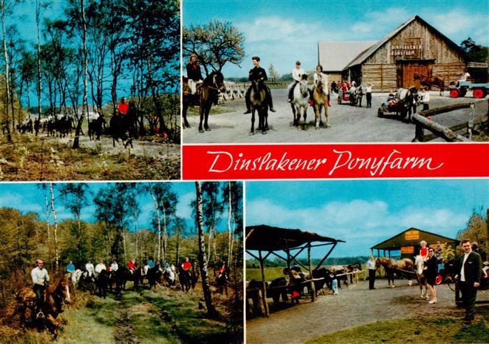 DINSLAKEN Ponyfarm Pferdeverleih Reiten Ponys Wald Bergerstrasse Schwarze-Heide