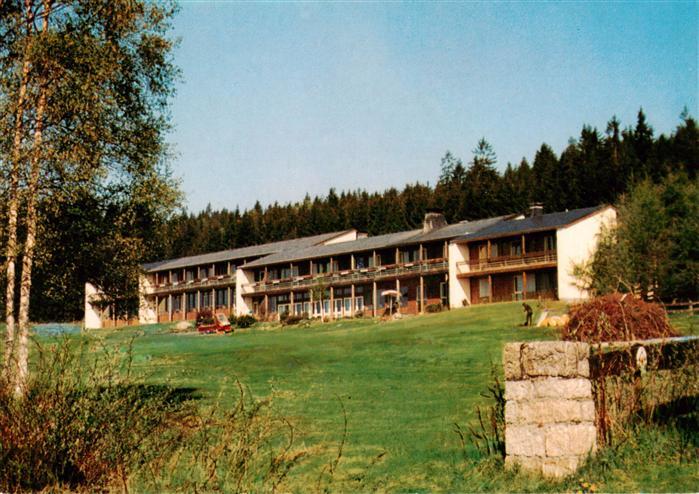 Weissenstadt Wunsiedel Bayern Schullandheim Suedseite Fichtelgebirge Wald Wiese