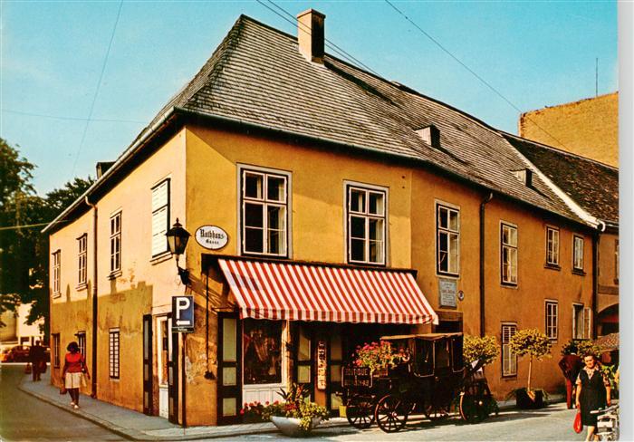 BADEN WIEN AT Beethovenhaus Rathhaus-Gasse Kutschwagen Boutique Strassenszene Be