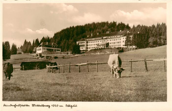 Mittelberg Oy Allgaeu Kinderheilstaette Viehweide Kuehe