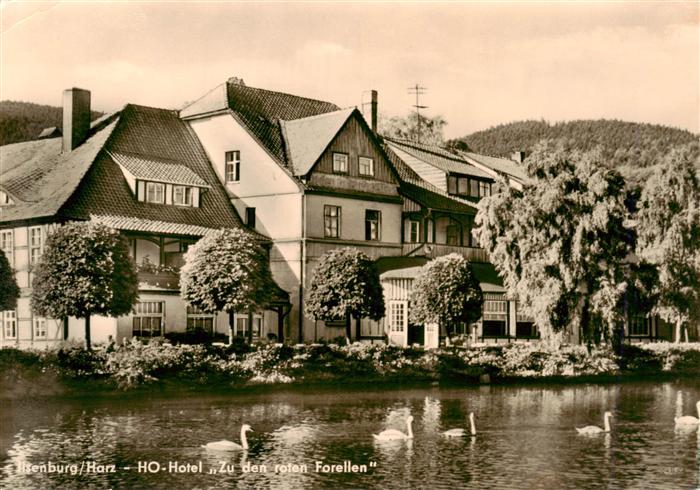 Ilsenburg Harz HO-Hotel Zu den roten Forellen Schwaene