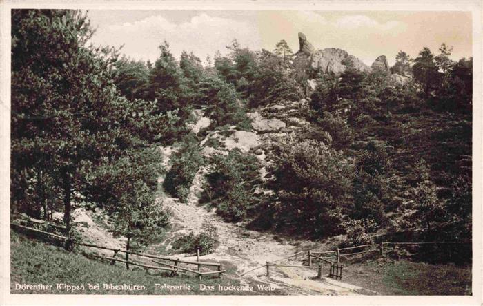 Ibbenbueren NRW Doerenther-Klippen Felspartie Das-hockende-Weib Felsen Kiefernwa