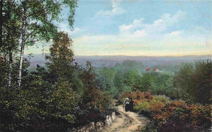 Bocketal Brochterbeck Teutoburger Wald Bocketal Teutoburger-Wald Weg Birke Heide