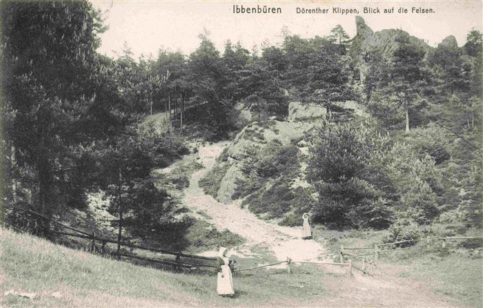 Ibbenbueren NRW Doerenther-Klippen Felsen Kiefern Frauen Zaun Wald