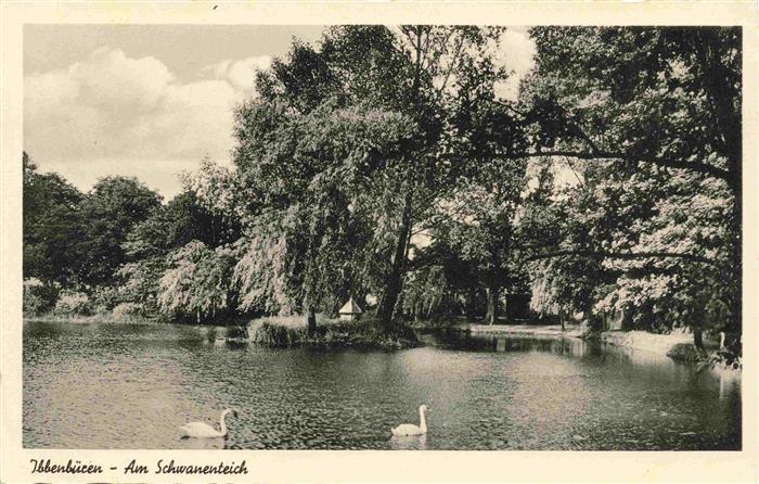 Ibbenbueren NRW Schwanenteich Schwaene Teich Park Trauerweide Baeume S/W-Foto
