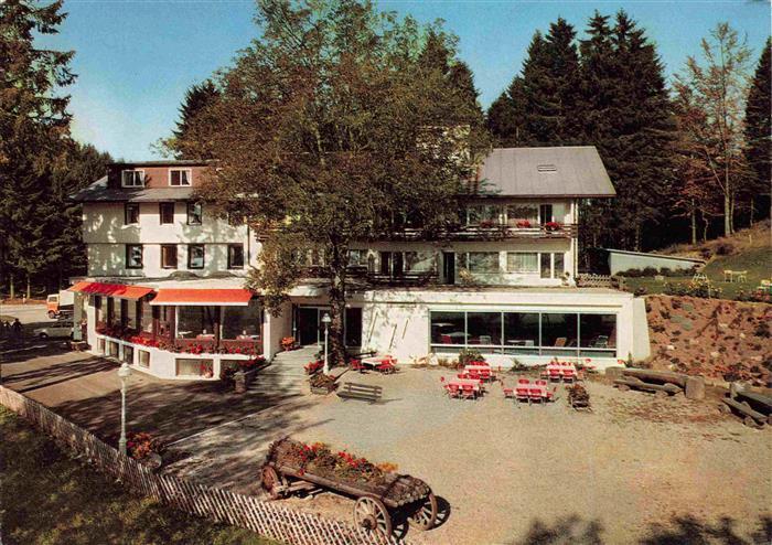 Wiedener-Eck Wieden Schoenau BW Berghotel-Wiedener-Eck Belchengebiet Hotel Terra