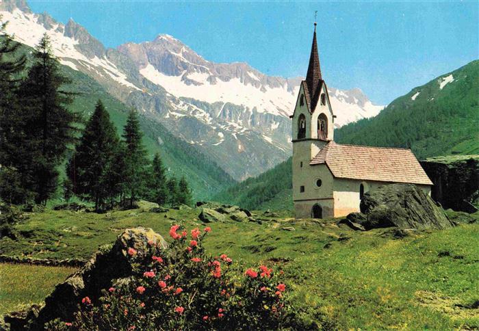 Kasern Suedtirol IT Heilig-Geist-Kirche Alpenrose Nadelwald Schneeberge Bergwies