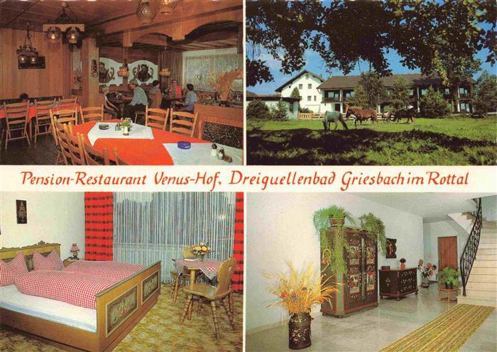 Schwaim Venus-Hof Gaststube Pension Pferde Weide Doppelzimmer Diele Dreiquellenb