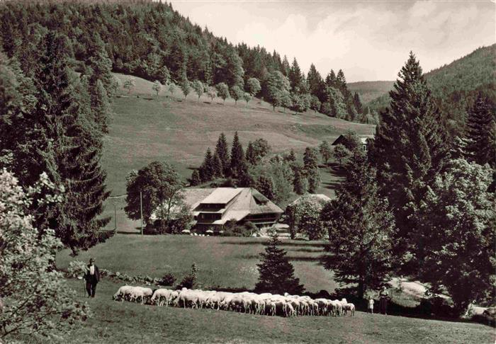 Multen-Belchen Aitern Schoenau Schwarzwald BW Gasthof-Belchen-Multen Schaefer Sc
