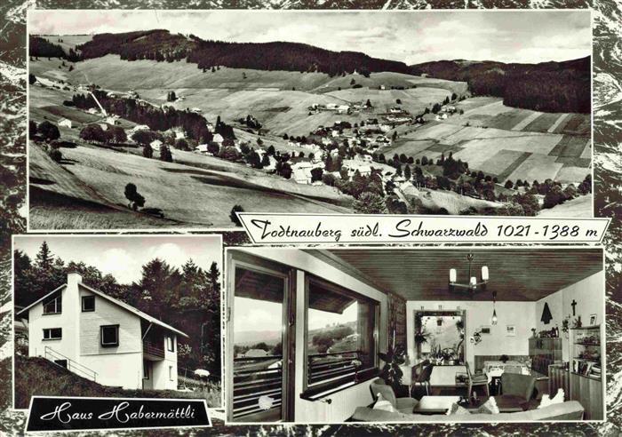 Todtnauberg Schwarzwald BW Todtnauberg Haus-Habermaettli Schwarzwald Bergpanoram