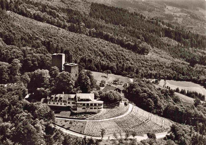 Buehl Baden Burg-Windeck Burggaststaette Weingut Weinberg Burgturm Wald Luftbild
