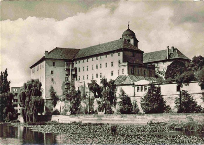 Podiebrad Tschechien Bad Zámek Schloss Fluss Weiden Kuppel Lázně Kurort