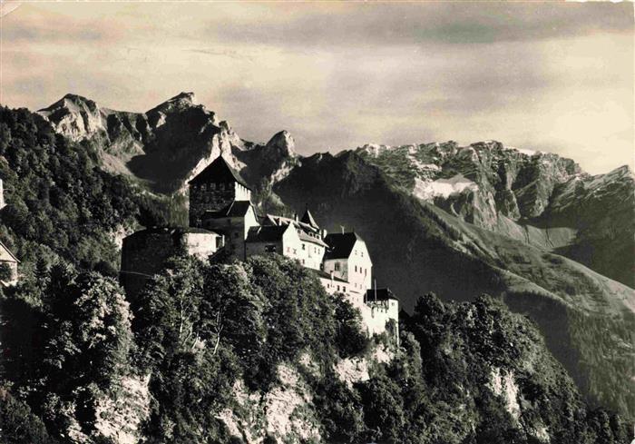 Vaduz Liechtenstein FL Schloss-Vaduz Falknis Alpen Fels Bergwald Fuerstentum