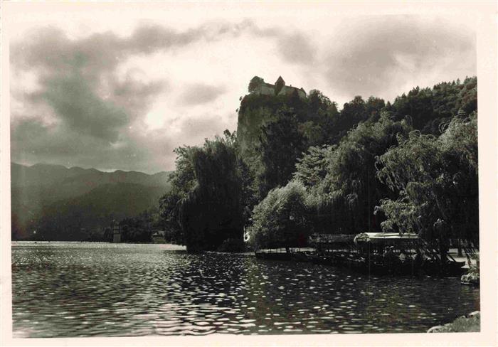 Bled Gorenjska Oberkrain Slovenia Blejski-Grad Burg See Felsen Trauerweide Steg