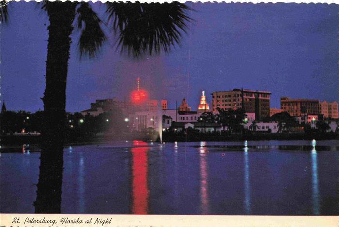 St Petersburg Florida USA Skyline Nachtaufnahme Mirror-Lake Reflexion Palme Brun