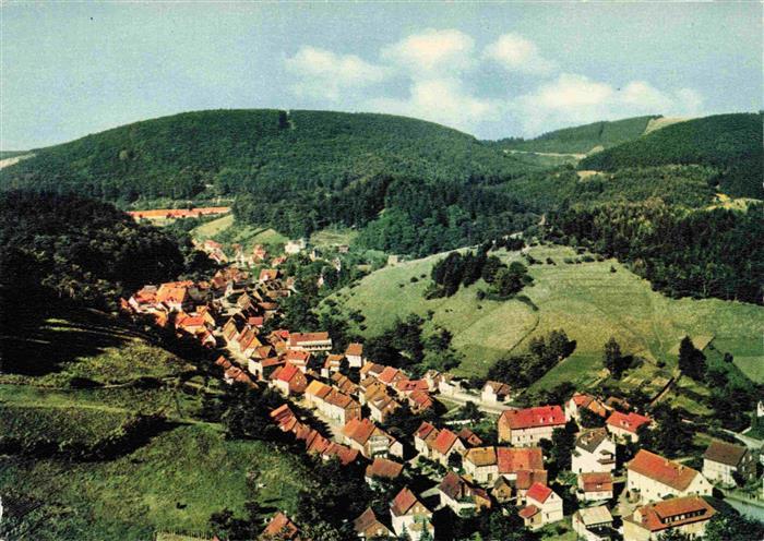 Bad Grund Harz Osterode Niedersachsen Oberharz Luftaufnahme Ortschaft Waelder Hu