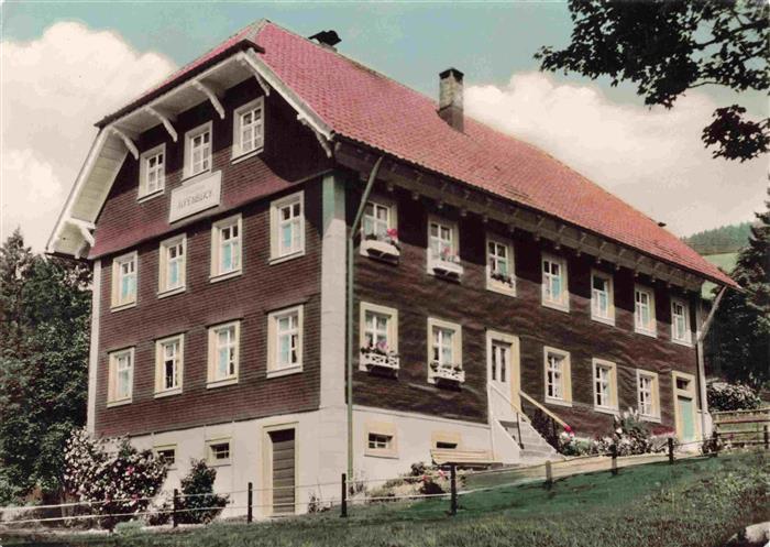 Todtnauberg Schwarzwald BW Pension-Alpenblick Schwarzwald Holzhaus Blumenfenster