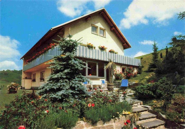 Todtnauberg Schwarzwald BW Pension-Tanneck Hochschwarzwald Garten Balkon Tannenb