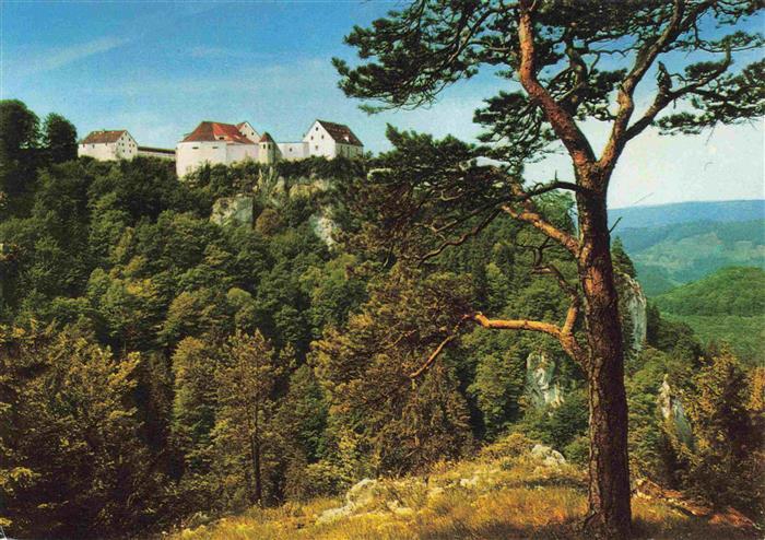 Leibertingen Sigmaringen BW Burg-Wildenstein Donautal Jugendherberge Wald Felsen