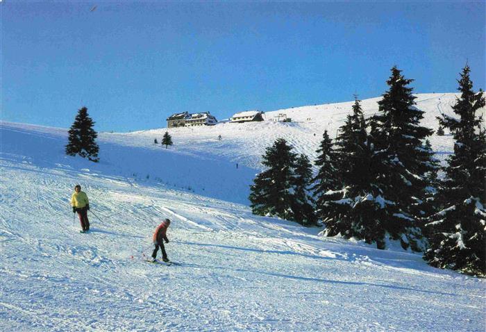 Belchenhoefe Neuenweg Schwarzwald BW Schwarzwald Skifahrer Skipiste Schnee Tanne